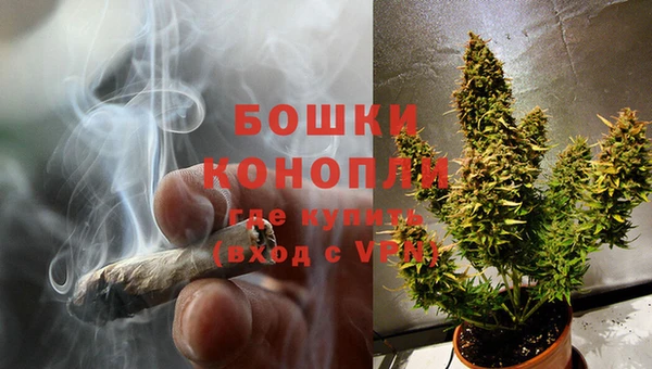 ECSTASY Гусев