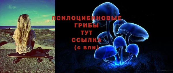 стафф Гусь-Хрустальный
